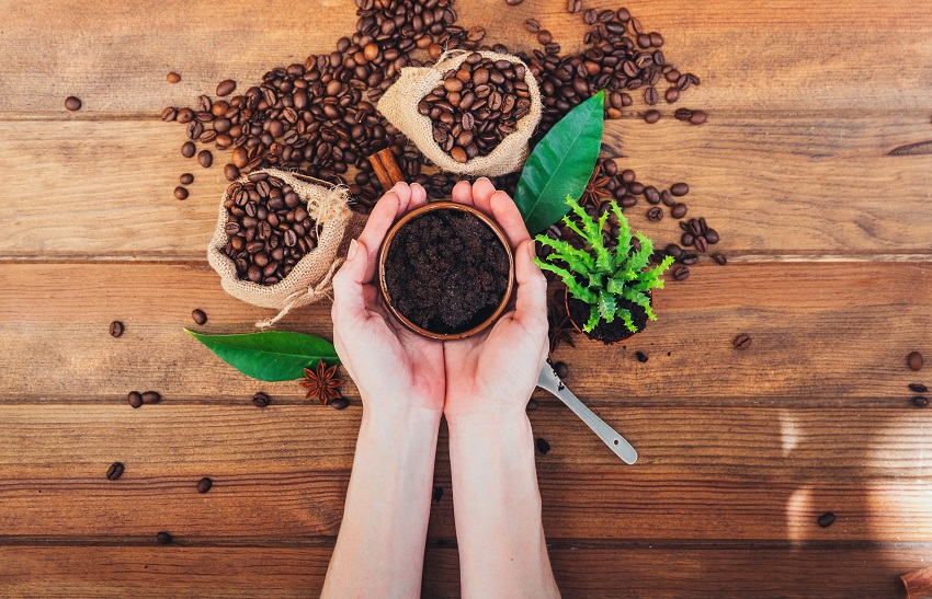 El café y el metabolismo