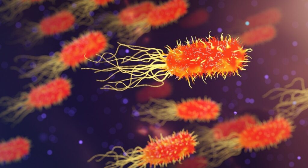 Las bacterias más peligrosas para el cuerpo