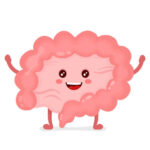 Intestino fuerte