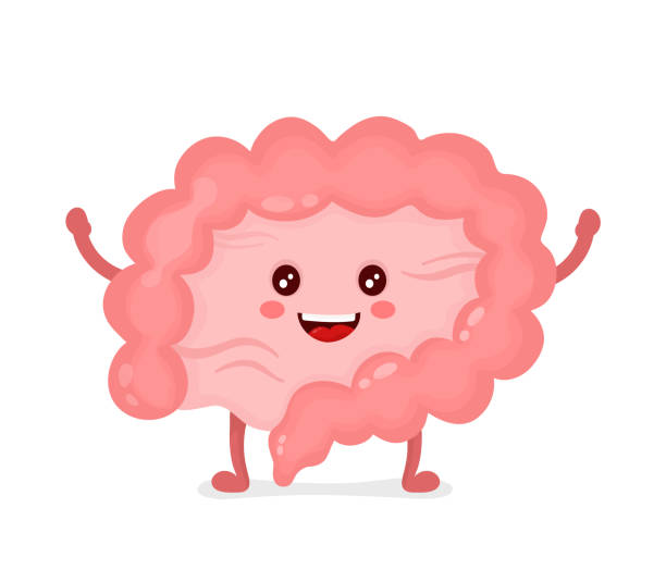 Intestino fuerte
