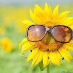 Vacaciones de primavera