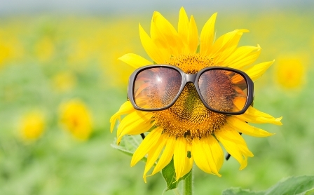 Vacaciones de primavera